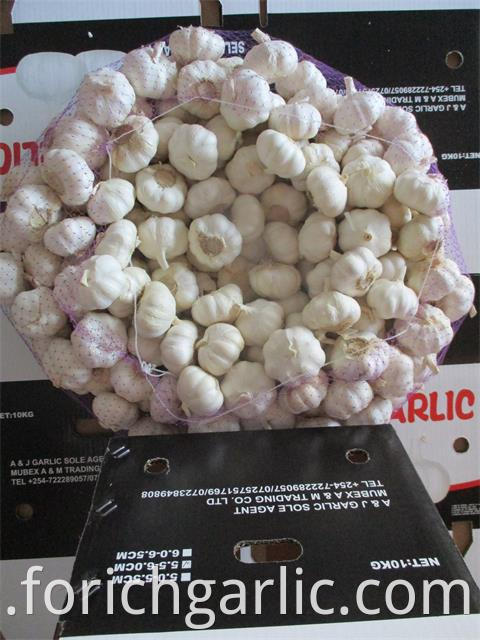 Where To Buy Pure Garlic Extract